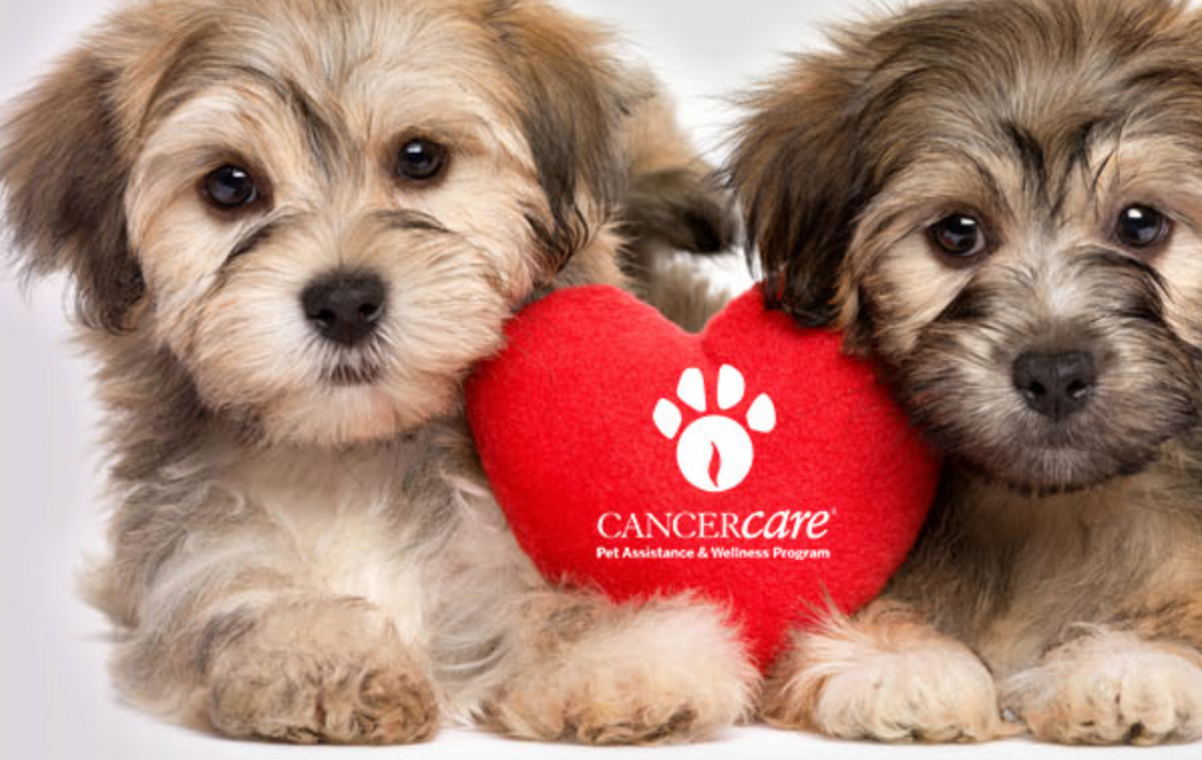 CancerCare's PAWesome New Program