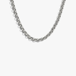 Awe Inspired  Necklaces 3mm Rolo Chain