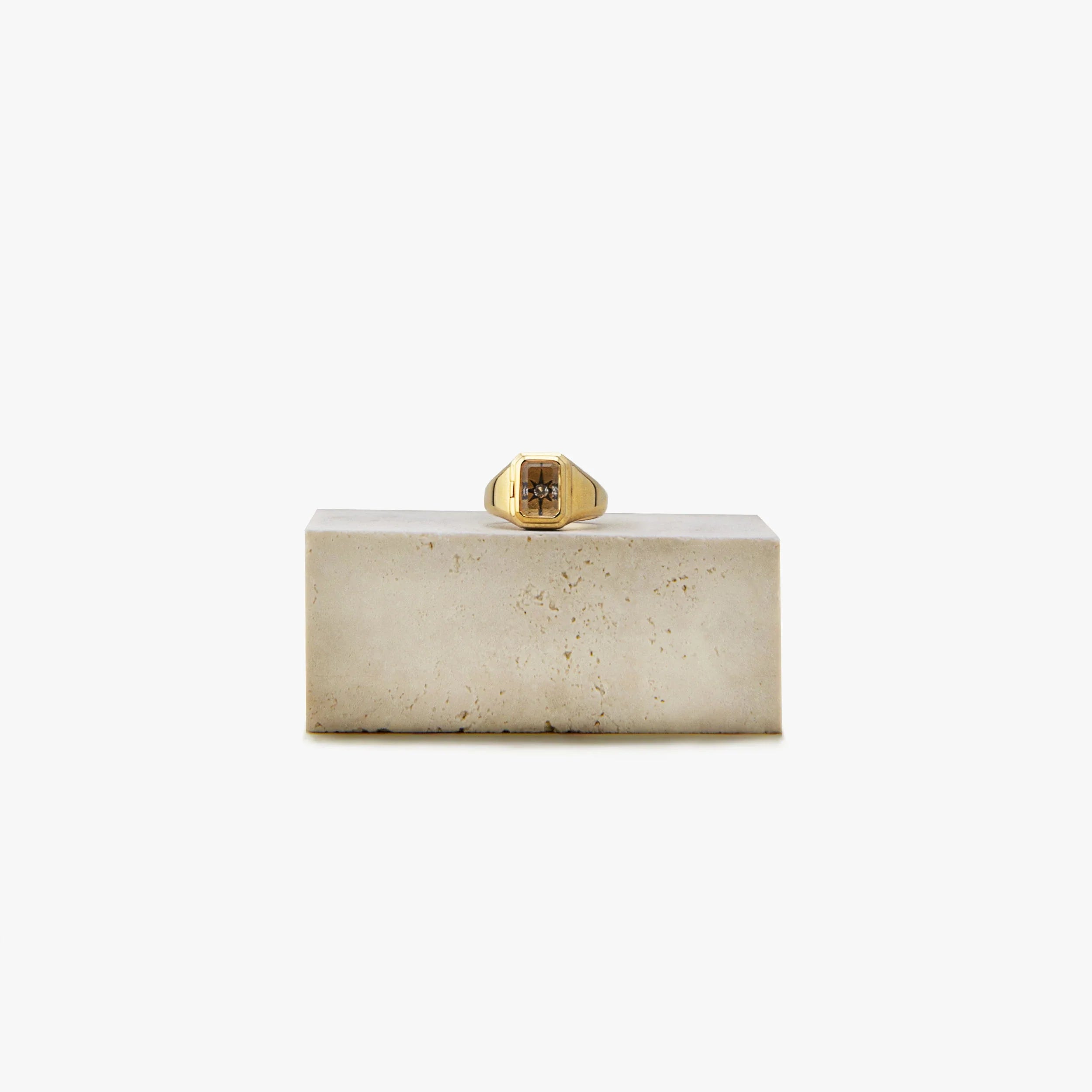Awe Inspired Rings 14K Gold Vermeil / 6 Archive Crystal Photo Locket Ring-Fam