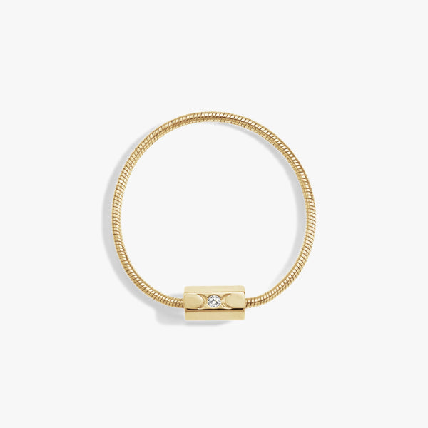 Snake Chain Collector Bracelet – Awe Inspired