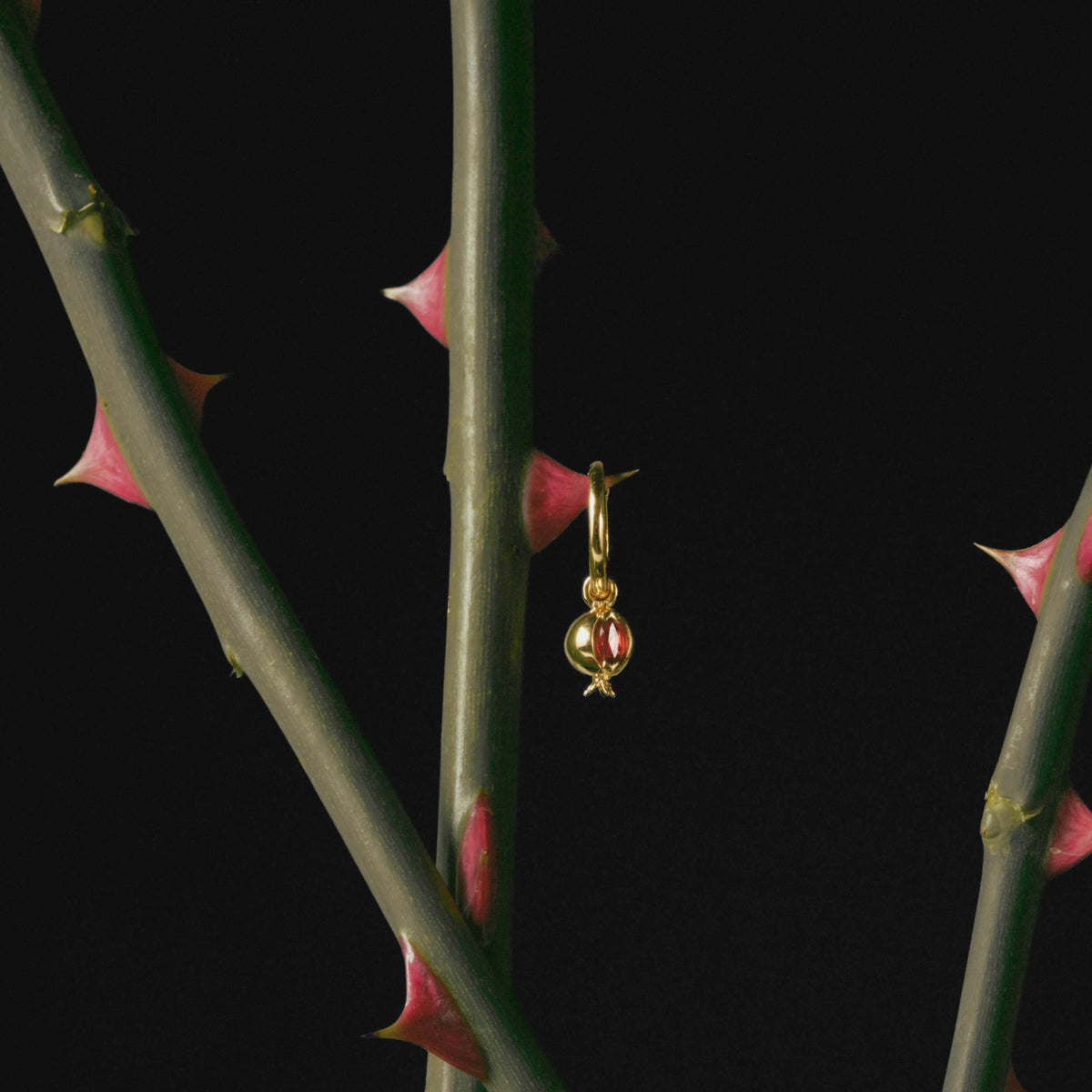 Awe Inspired Earrings Pomegranate Charm Hoops