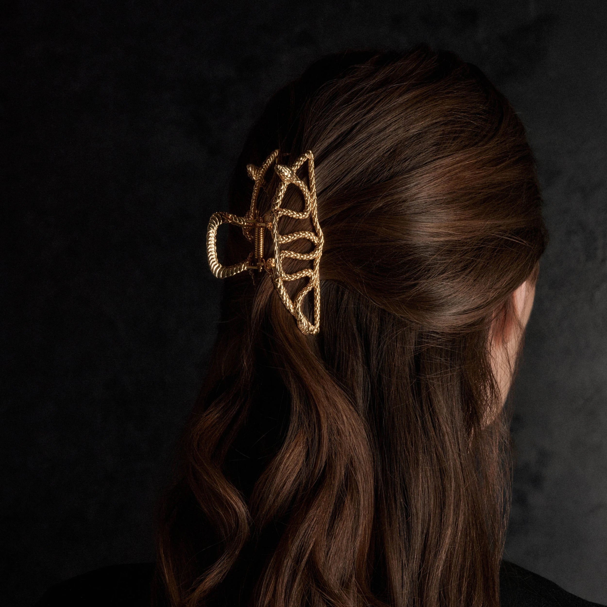 Awe Inspired Ritual Twin Serpents Claw Clip