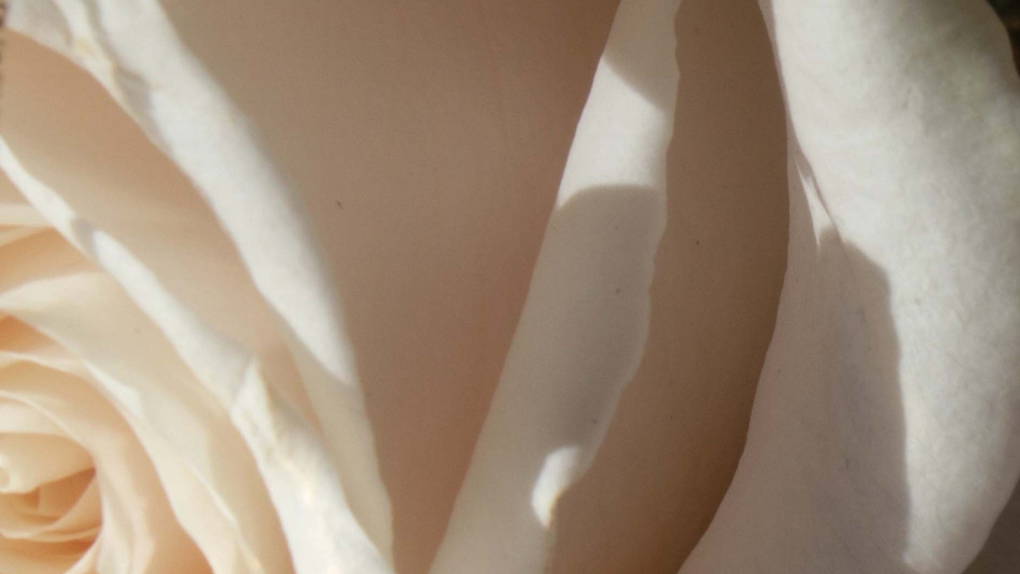 In-grid promotional content