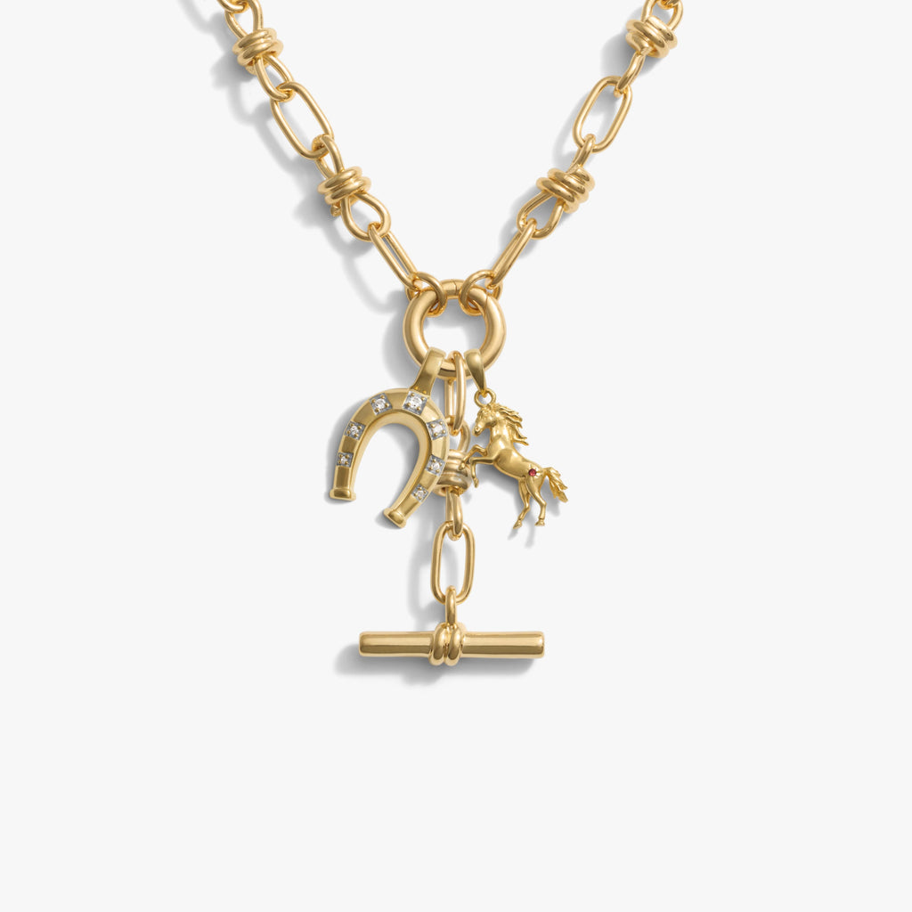 Awe Inspired Necklaces 14K Gold Vermeil / Luck Manifestation Charm Lariat Set