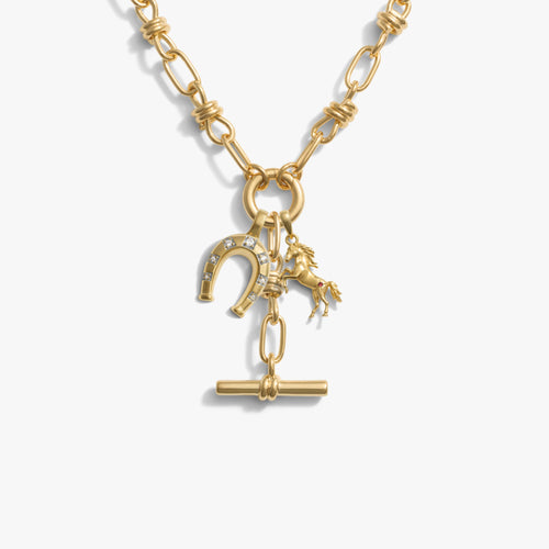Awe Inspired Necklaces 14K Gold Vermeil / Luck Manifestation Charm Lariat Set