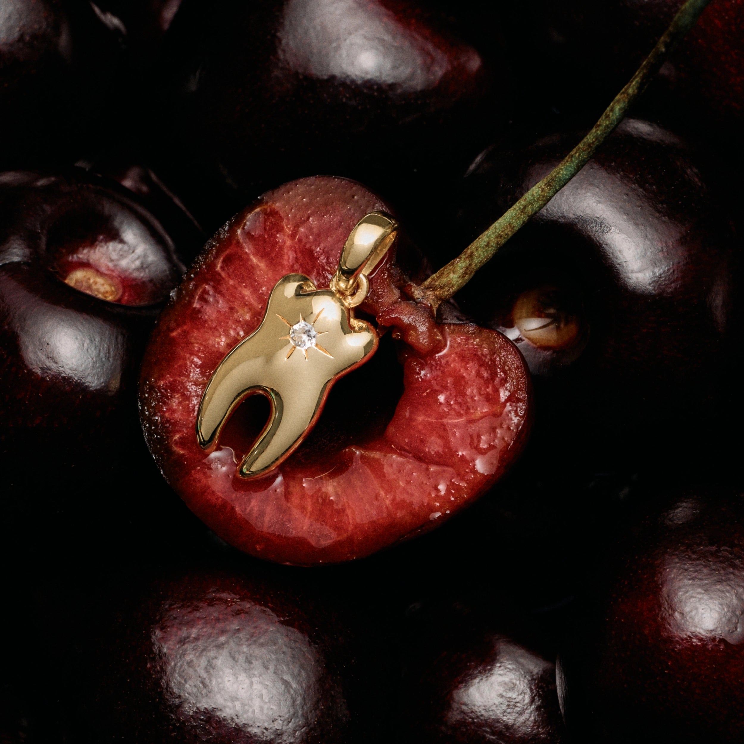 Sapphire Tooth Pendant