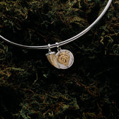 Awe Inspired Necklaces Collector Collar Necklace