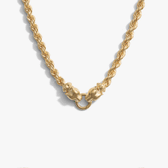 Awe Inspired Necklaces 14K Gold Vermeil Jaguar Collector Necklace