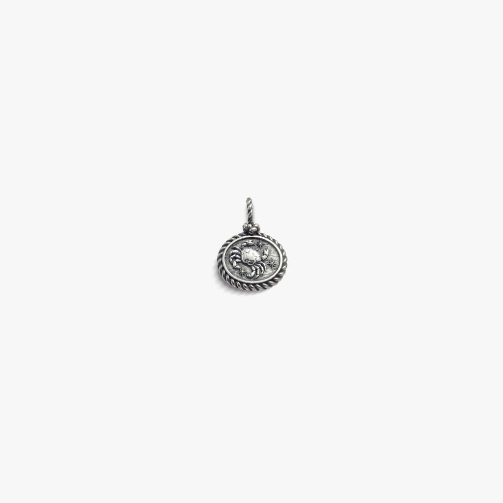 Awe Inspired  Pendants Mini Gemstone Zodiac Pendant