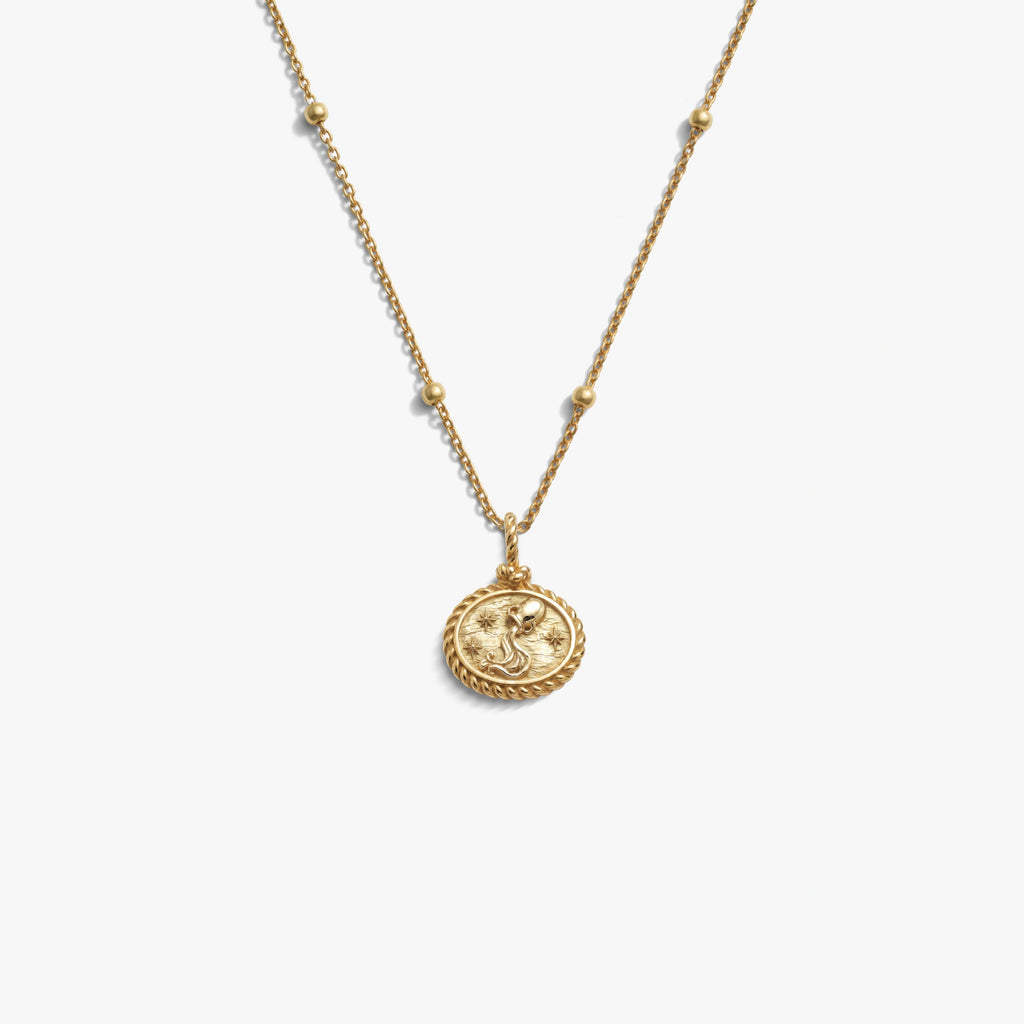 Awe Inspired Necklaces 14K Gold Vermeil / Aquarius / 16'' - 18'' Zodiac REDO Necklace