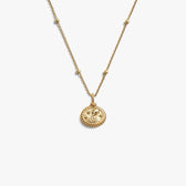 Awe Inspired Necklaces 14K Gold Vermeil / Aquarius / 16'' - 18'' Zodiac REDO Necklace