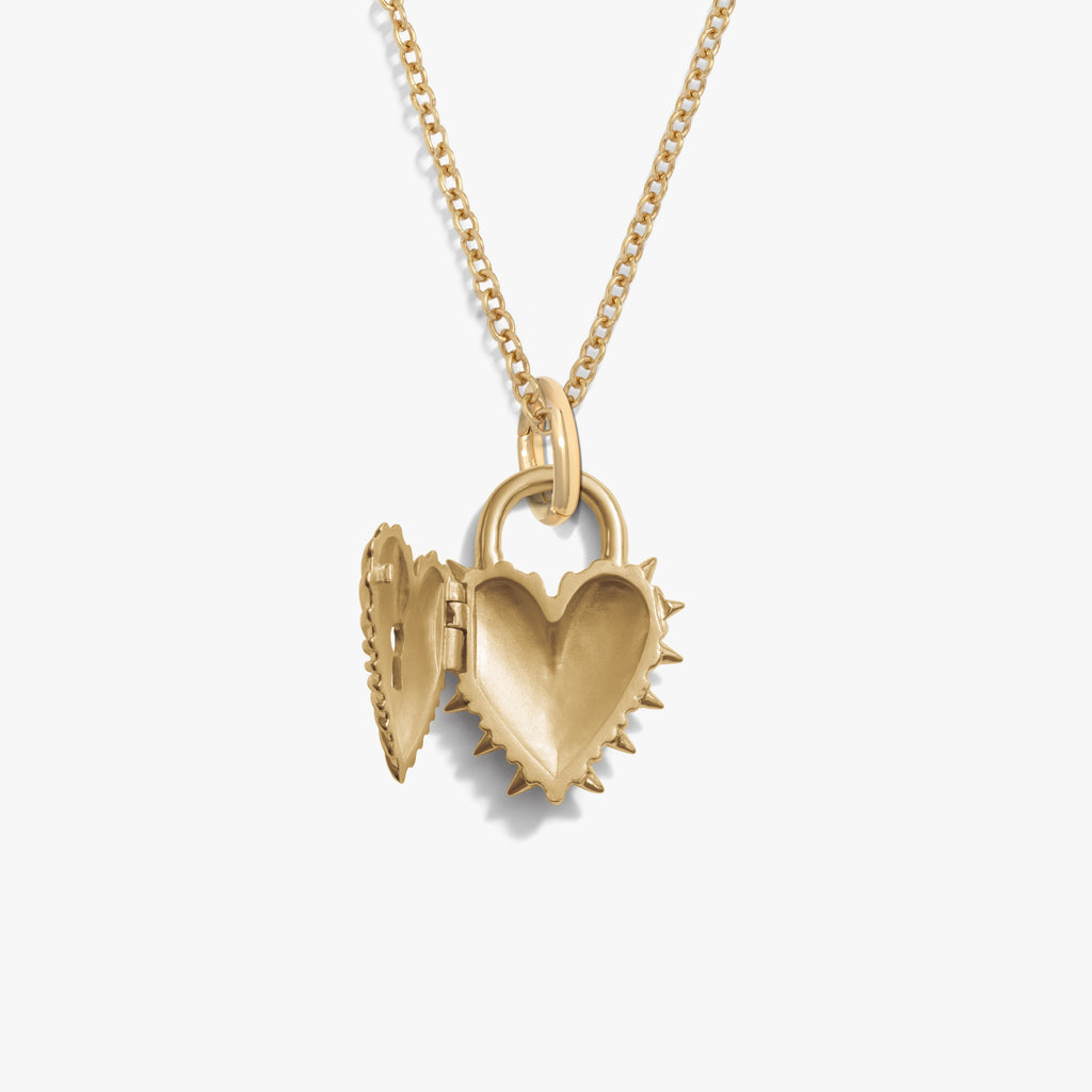 Awe Inspired Necklaces Special Offer Spiked Heart Locket Necklace