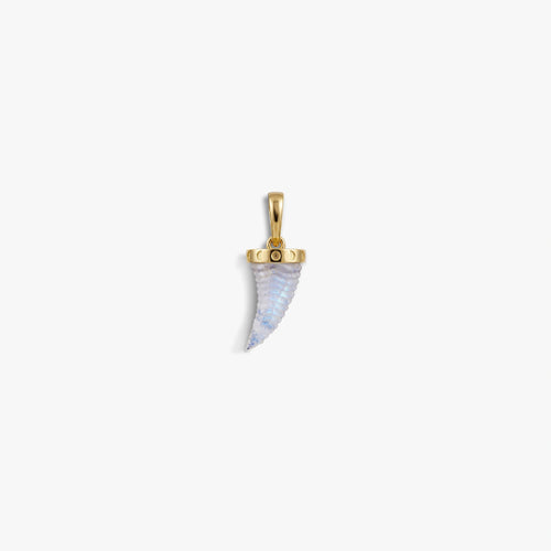 Awe Inspired Pendants 14K Gold Vermeil / Rainbow Moonstone Carved Saber-Tooth Pendant
