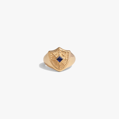 Awe Inspired Rings 14K Gold Vermeil / 6 Gemstone Shield Defense Ring
