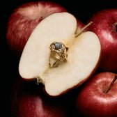 Awe Inspired Rings Gemstone Snake In The Garden Ring