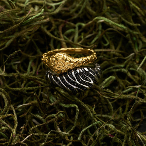 Awe Inspired Rings Cat Print Signet Ring Duo