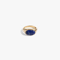 Awe Inspired Rings 14K Gold Vermeil / Blue Lapis / 5 Carved Gemstone Deathwatch Beetle Ring