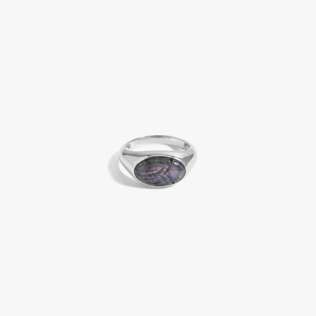 Awe Inspired Rings 925 Sterling Silver / Purple Labradorite / 5 Carved Gemstone Deathwatch Beetle Ring
