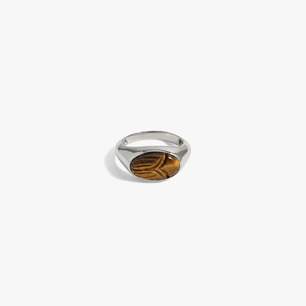 Awe Inspired Rings 925 Sterling Silver / Tiger's Eye / 5 Carved Gemstone Deathwatch Beetle Ring