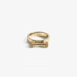Awe Inspired Rings 14K Gold Vermeil / 5 Bar Collector Ring