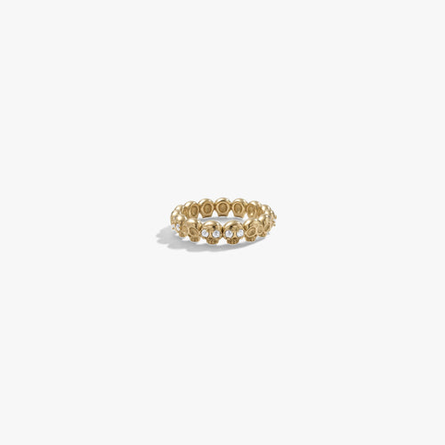 Awe Inspired Rings 14K Gold Vermeil / 5 Gemstone Skull Band
