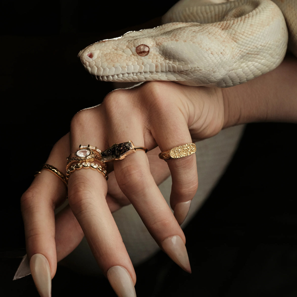 Awe Inspired Rings Filigree Signet Ring