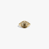 Awe Inspired Rings 14K Gold Vermeil / 6 JA - Oil Diffuser Ring