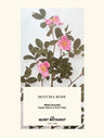 Matcha Rose Bar by the Quiet Botanist