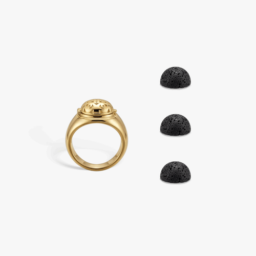 Awe Inspired Ritual Black Volcanic Rock Scent Diffuser Discs