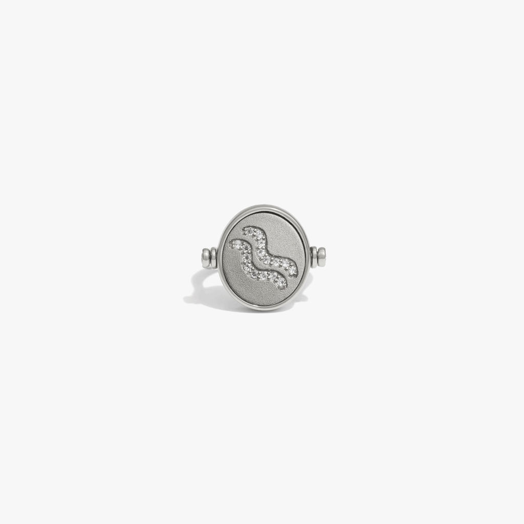 Awe Inspired Rings 925 Sterling Silver / Aquarius / 5 Special Offer Zodiac Element Flip Ring