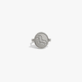 Awe Inspired Rings 925 Sterling Silver / Aquarius / 5 Special Offer Zodiac Element Flip Ring