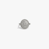 Awe Inspired Rings 925 Sterling Silver / Aquarius / 5 Special Offer Zodiac Element Flip Ring