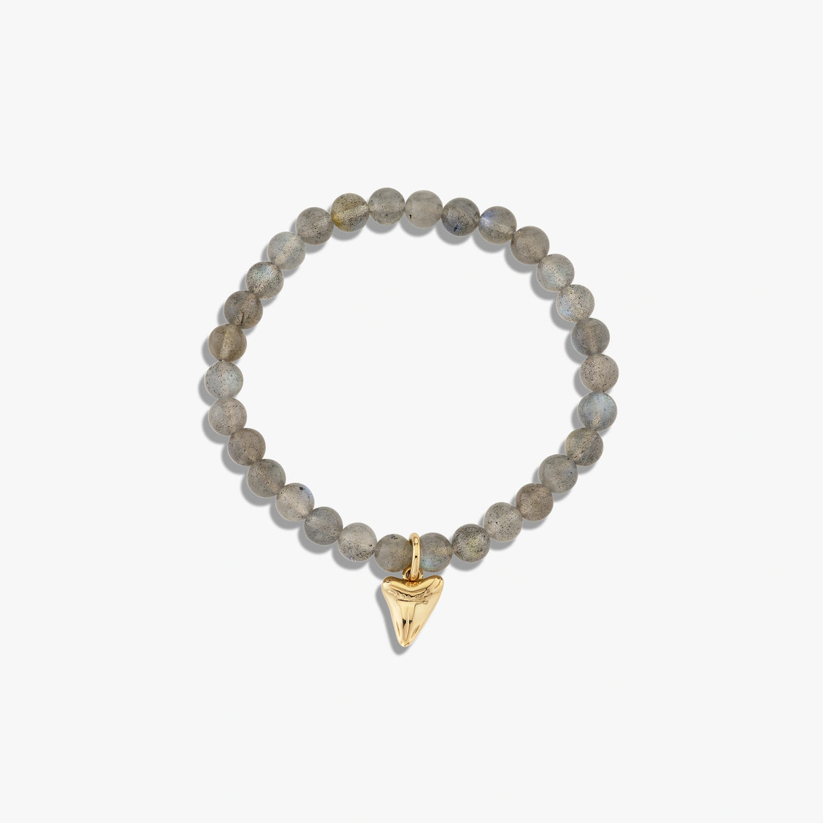 Awe Inspired Bracelets 14K Gold Vermeil / Shark Tooth Amulet Bracelet