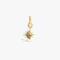 Awe Inspired Earrings 14K Yellow Gold Vermeil Men's Shooting Star Collector Earring