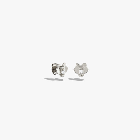 Topaz Orchid Studs 8179002146868