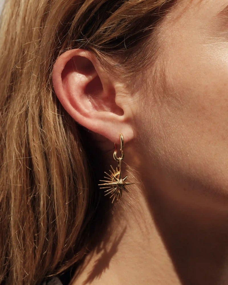 Awe Inspired Earrings Charm Collector Hoops