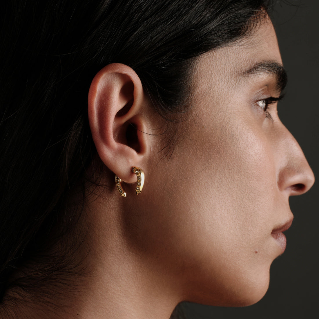 Awe Inspired Earrings Horseshoe Bypass Earring