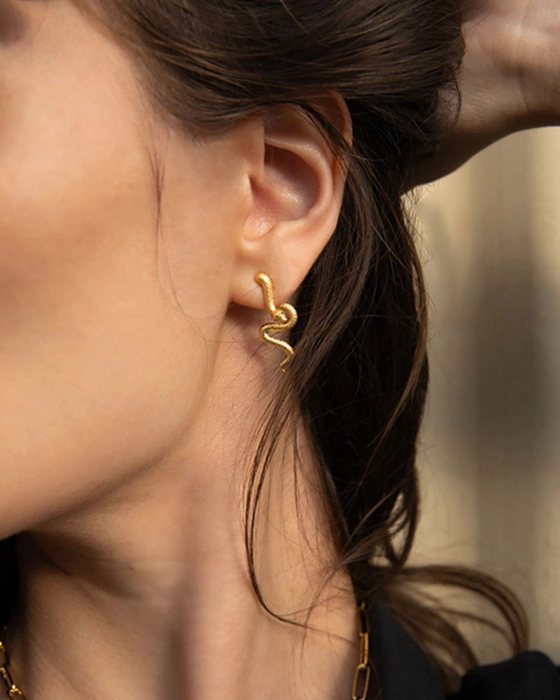 Awe Inspired Earrings Mystic Serpent Cascade Earrings