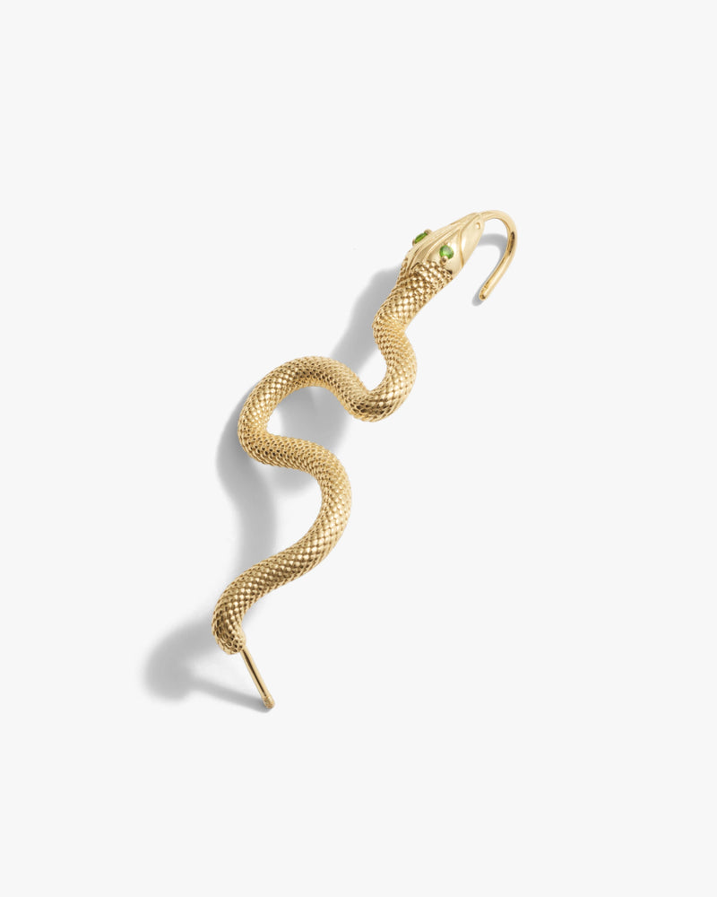 Awe Inspired Earrings Snake Ear Pin