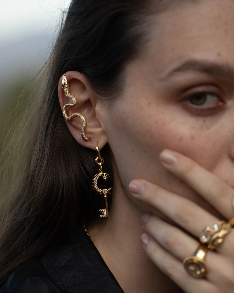 Awe Inspired Earrings Snake Gemstone Ear Pin