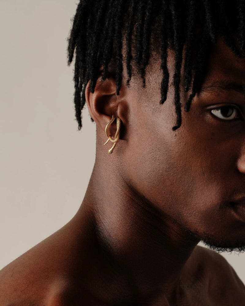 Awe Inspired Earrings Snake Wrap Earring