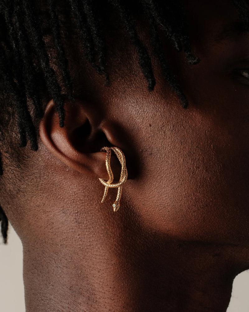 Awe Inspired Earrings Snake Wrap Earring