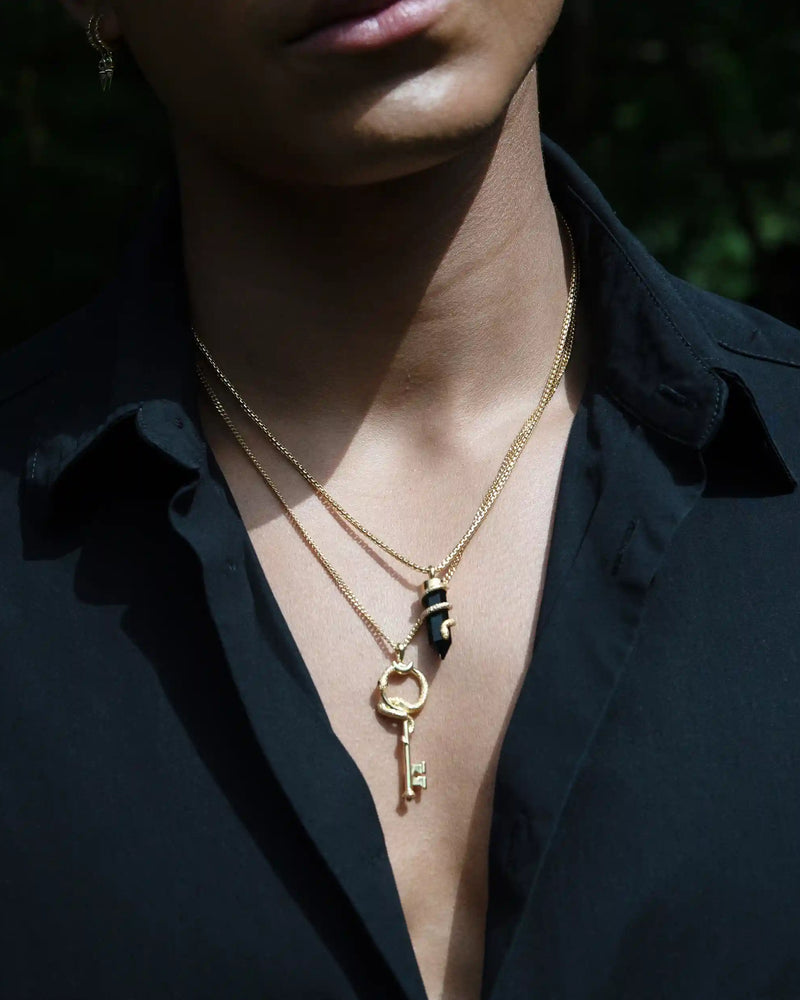Awe Inspired Men's Black Onyx Crystal Snake Necklace