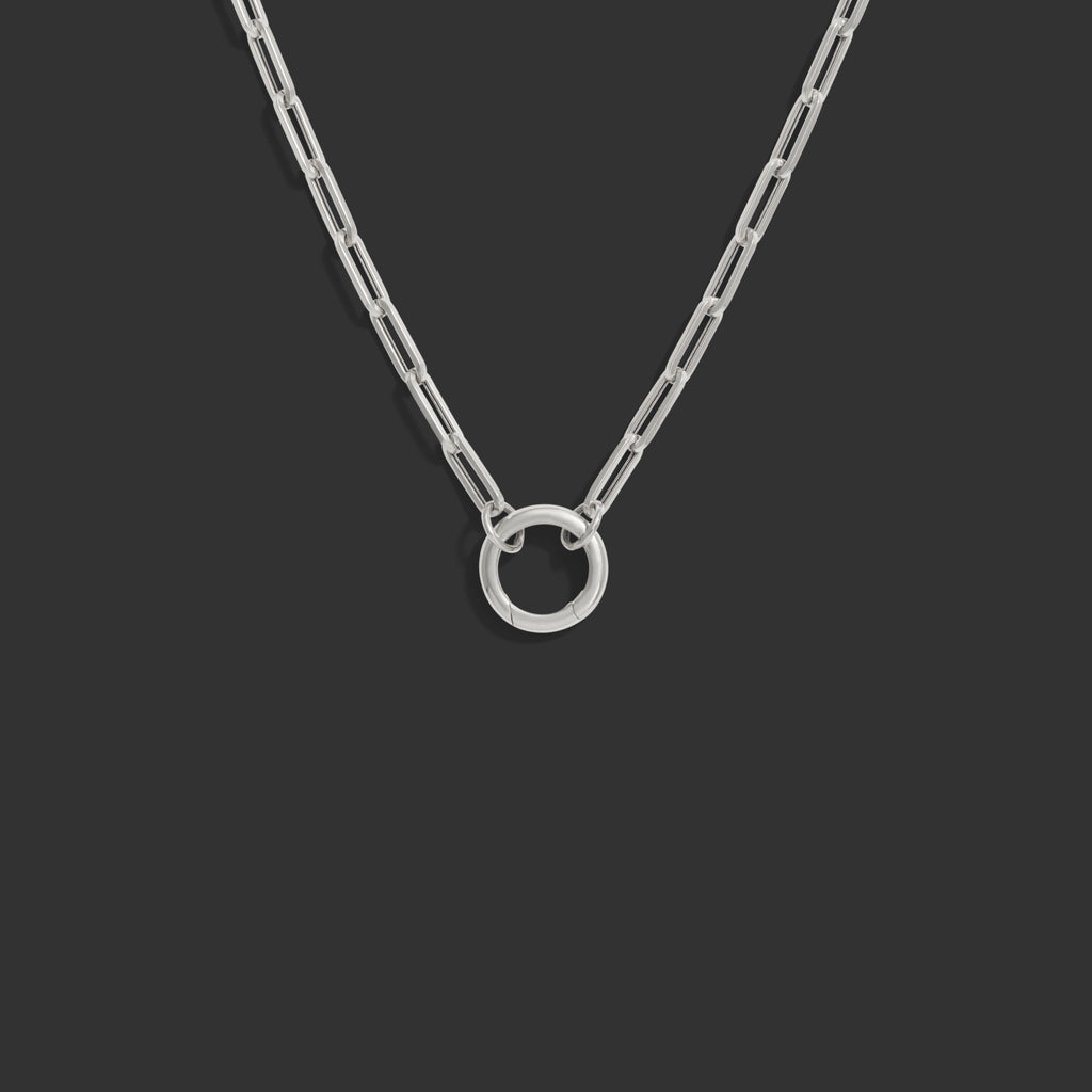 Awe Inspired  Necklaces Charm Collector Necklace