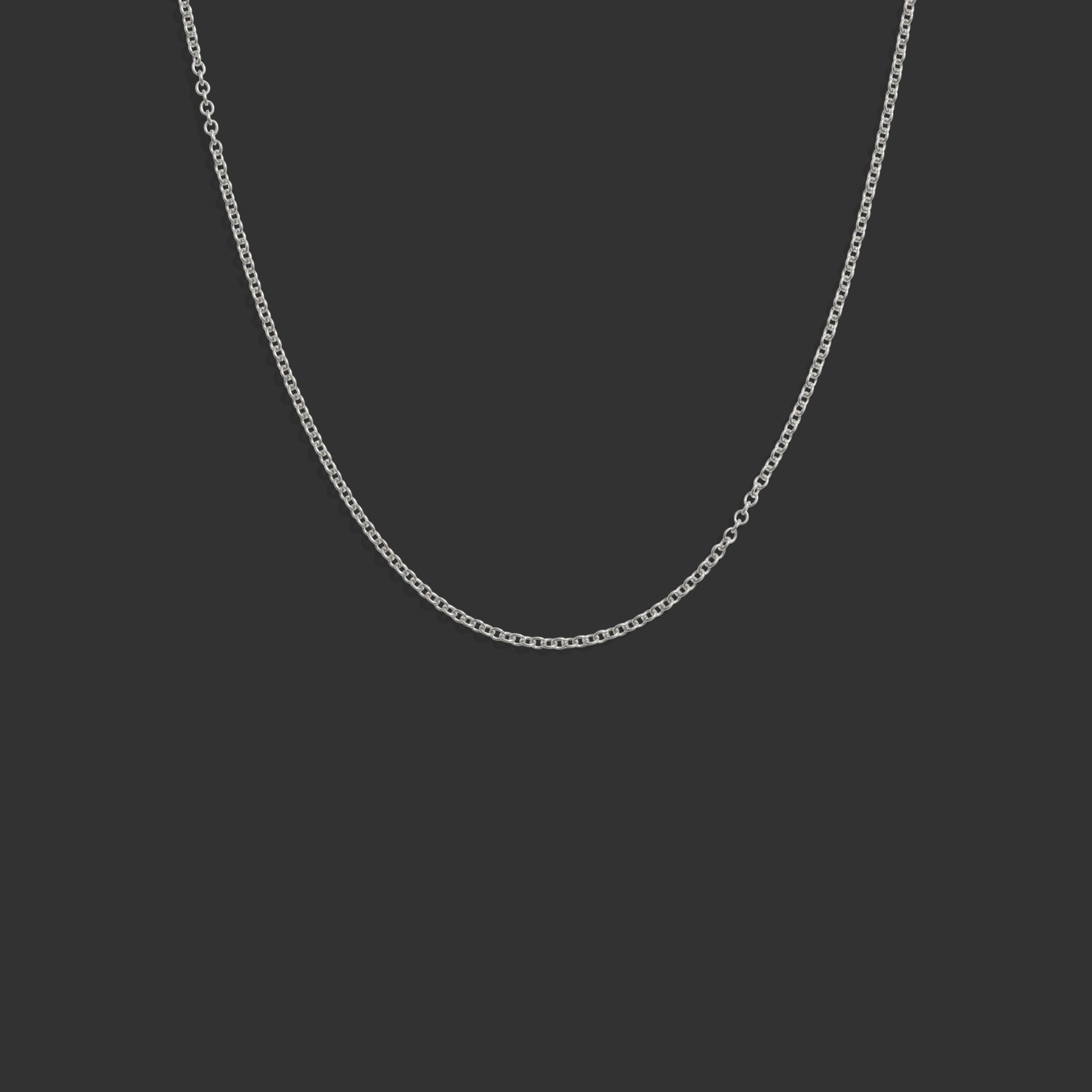 Awe Inspired  Necklaces Rolo Chain