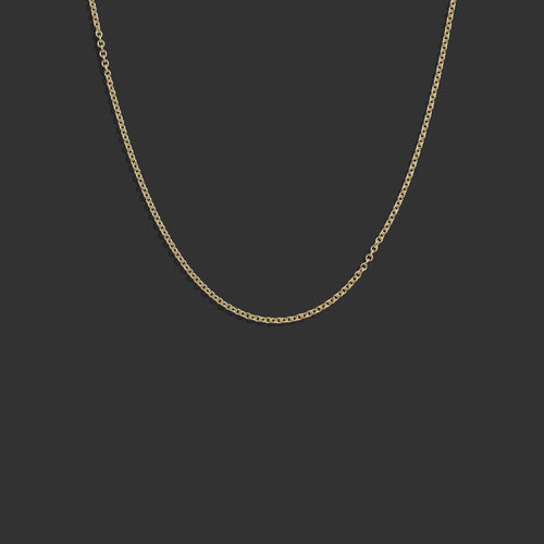 Awe Inspired  Necklaces Rolo Chain