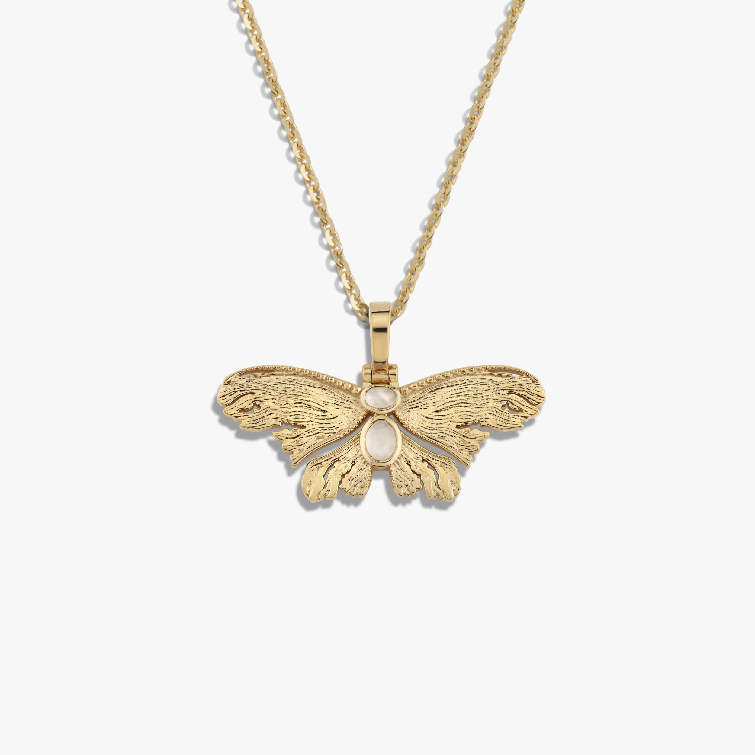 Awe Inspired Necklaces 14K Yellow Gold Vermeil / 16-18" Moonstone Moth Necklace