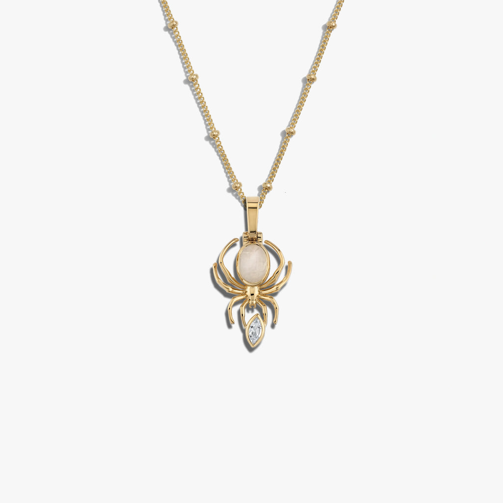 Awe Inspired Necklaces 14K Yellow Gold Vermeil / 16-18" Moonstone Spider Necklace