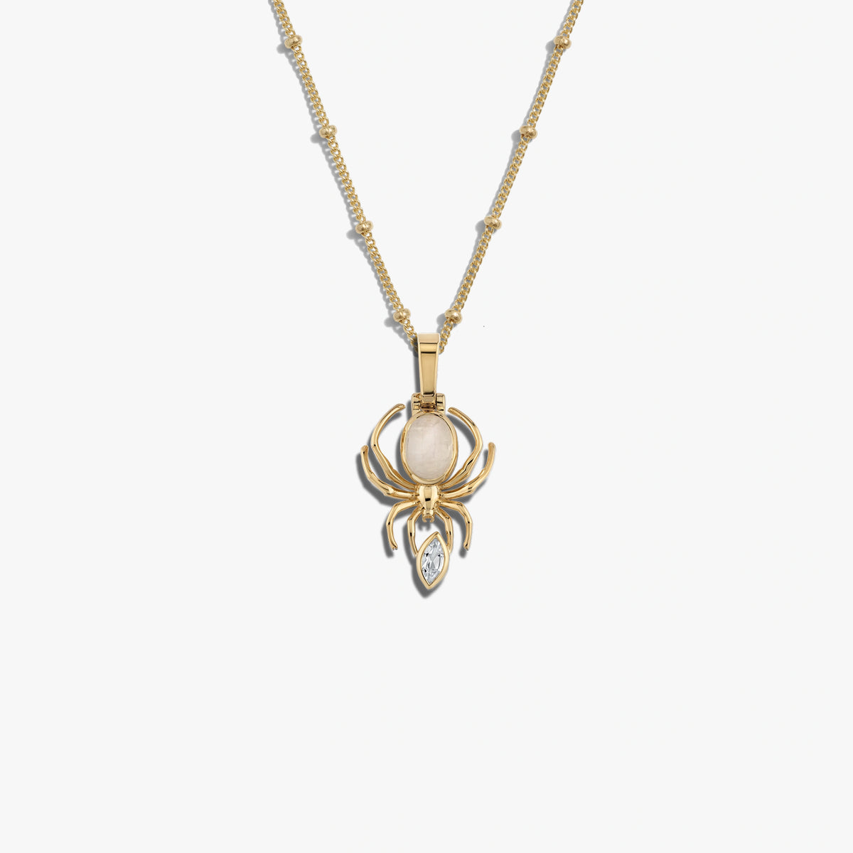 Awe Inspired Necklaces 14K Yellow Gold Vermeil / 16-18" Moonstone Spider Necklace