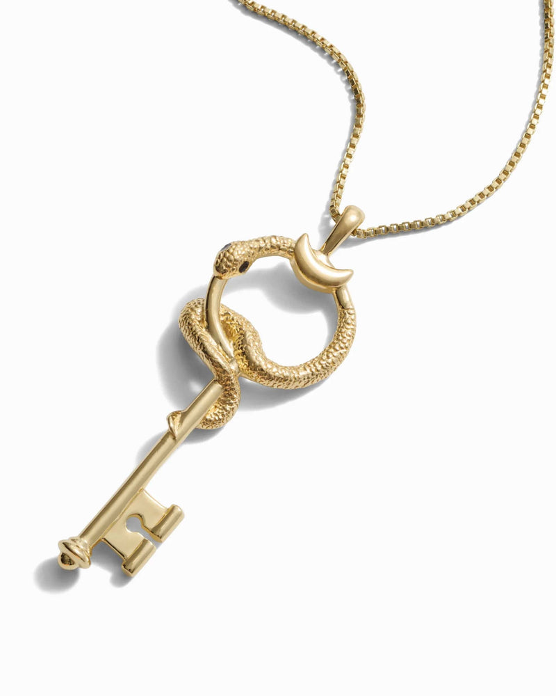 A gold necklace featuring a key pendant entwined with a snake design on a thin chain, isolated on a white background, reminiscent of The Gate of Hades Key Necklace by Awe Inspired, symbolizing hidden power.